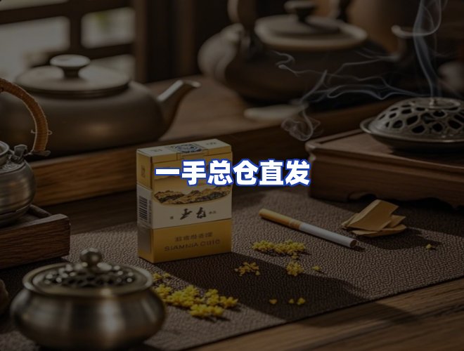 专业团队